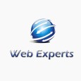 web experts